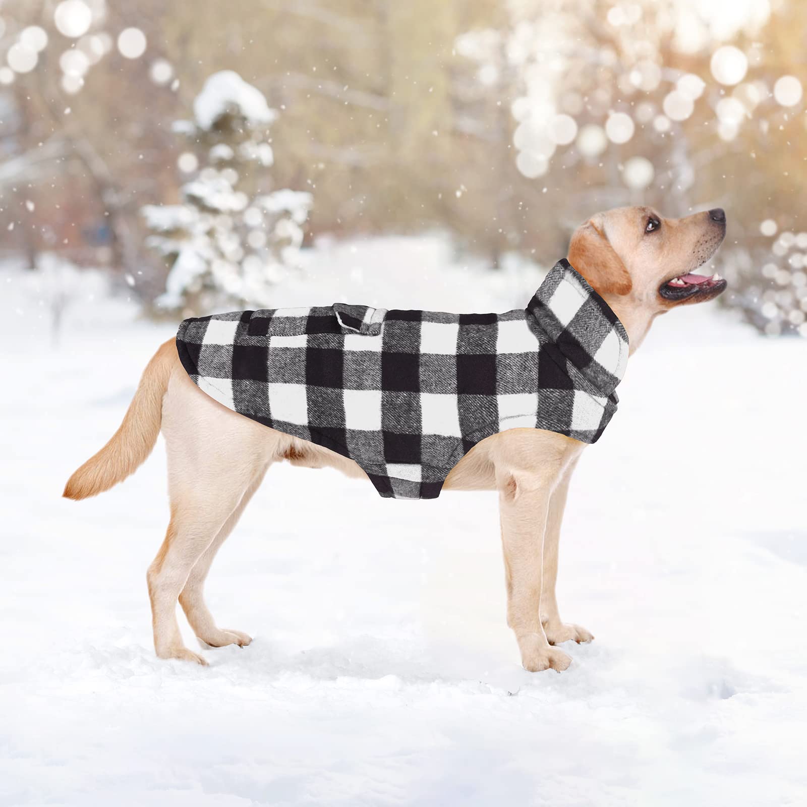 Malier windproof dog jacket stitching detail highlights durability and secure fit.