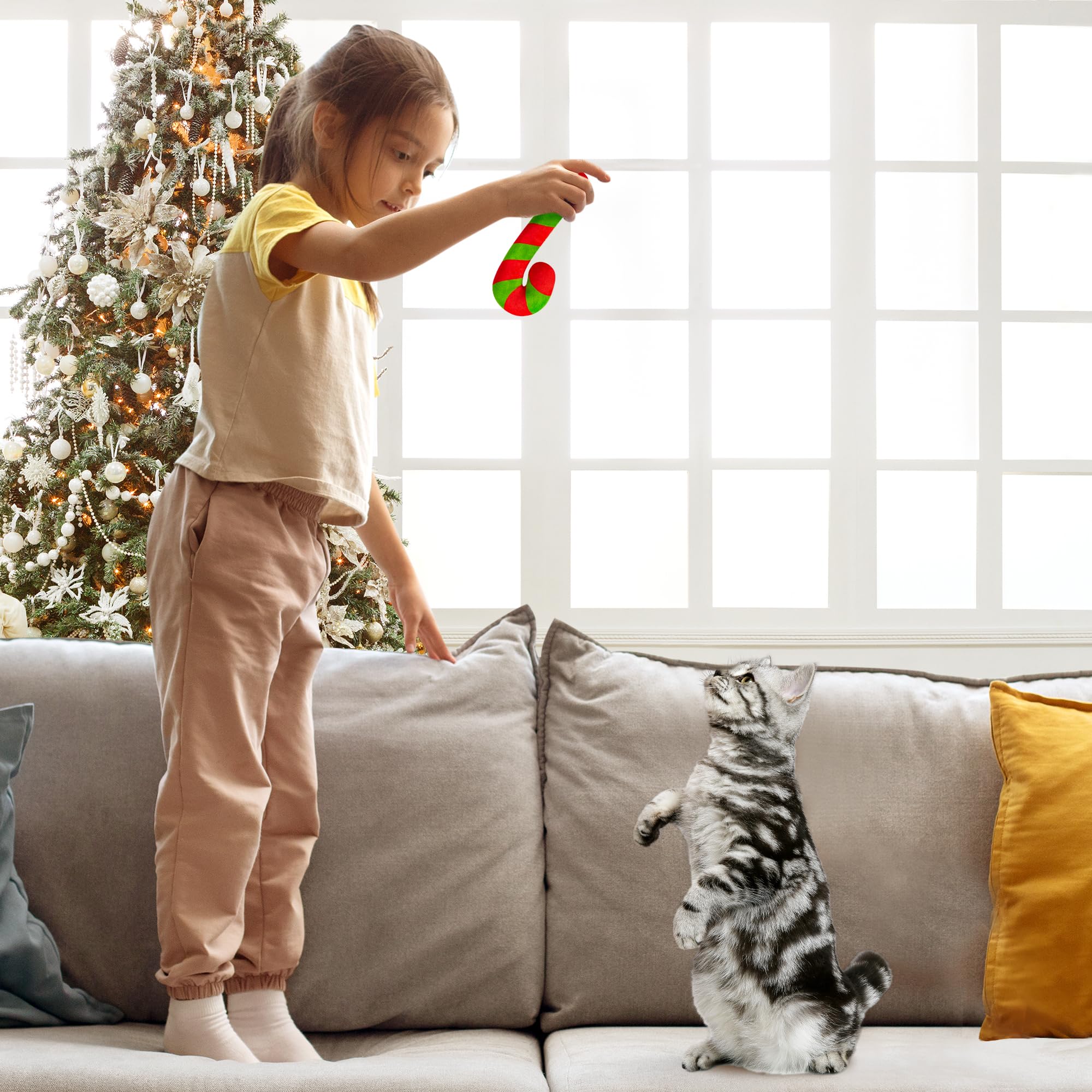 MallMall6 Catnip Toy durable materials image emphasizing long-lasting entertainment