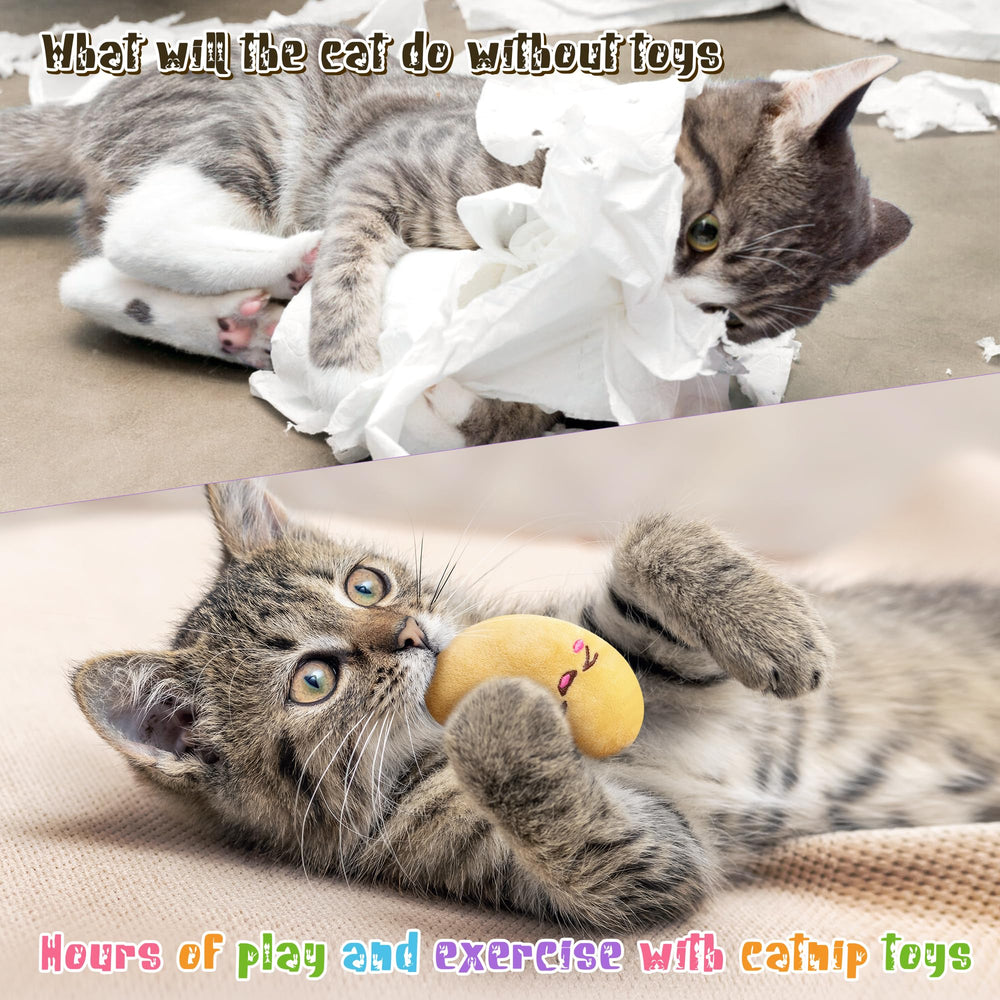 MALLMALL6 catnip toy supports predatory play and boredom relief during quiet afternoons.
