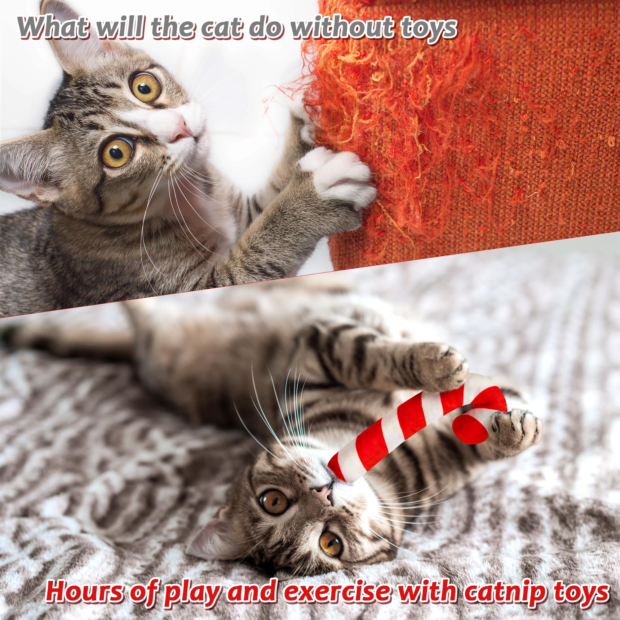 MallMall6 Catnip Toy size 5.9x2.8 inches shown for easy kicking and chasing