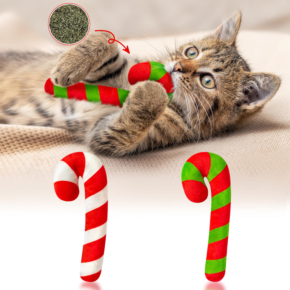 MallMall6 Christmas Candy Cane Catnip Toy closeup reveals inviting catnip for interactive play
