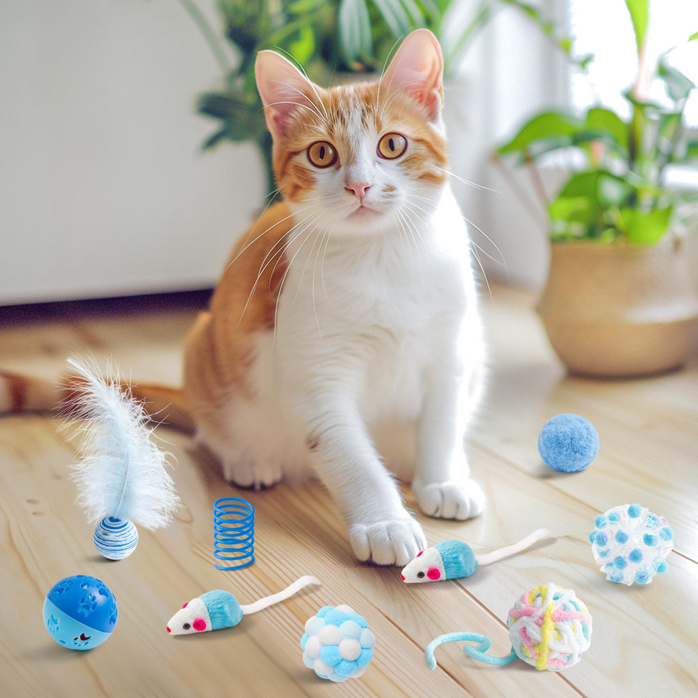 MALLMALL6 interactive pet toy set image showing versatile indoor entertainment