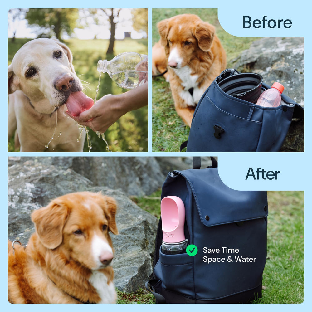 MalsiPree BPA-free ABS plastic ensures safe daily use