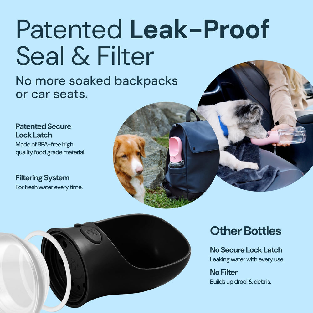 MalsiPree BPA-free stainless steel 19oz bottle for safe, durable hydration.