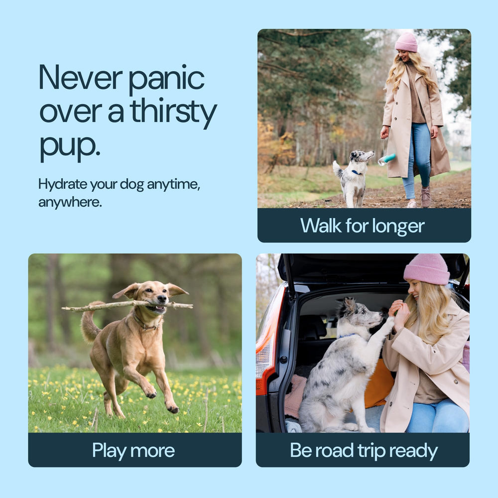 MalsiPree BPA-free stainless steel construction lasts through camping and daily use.