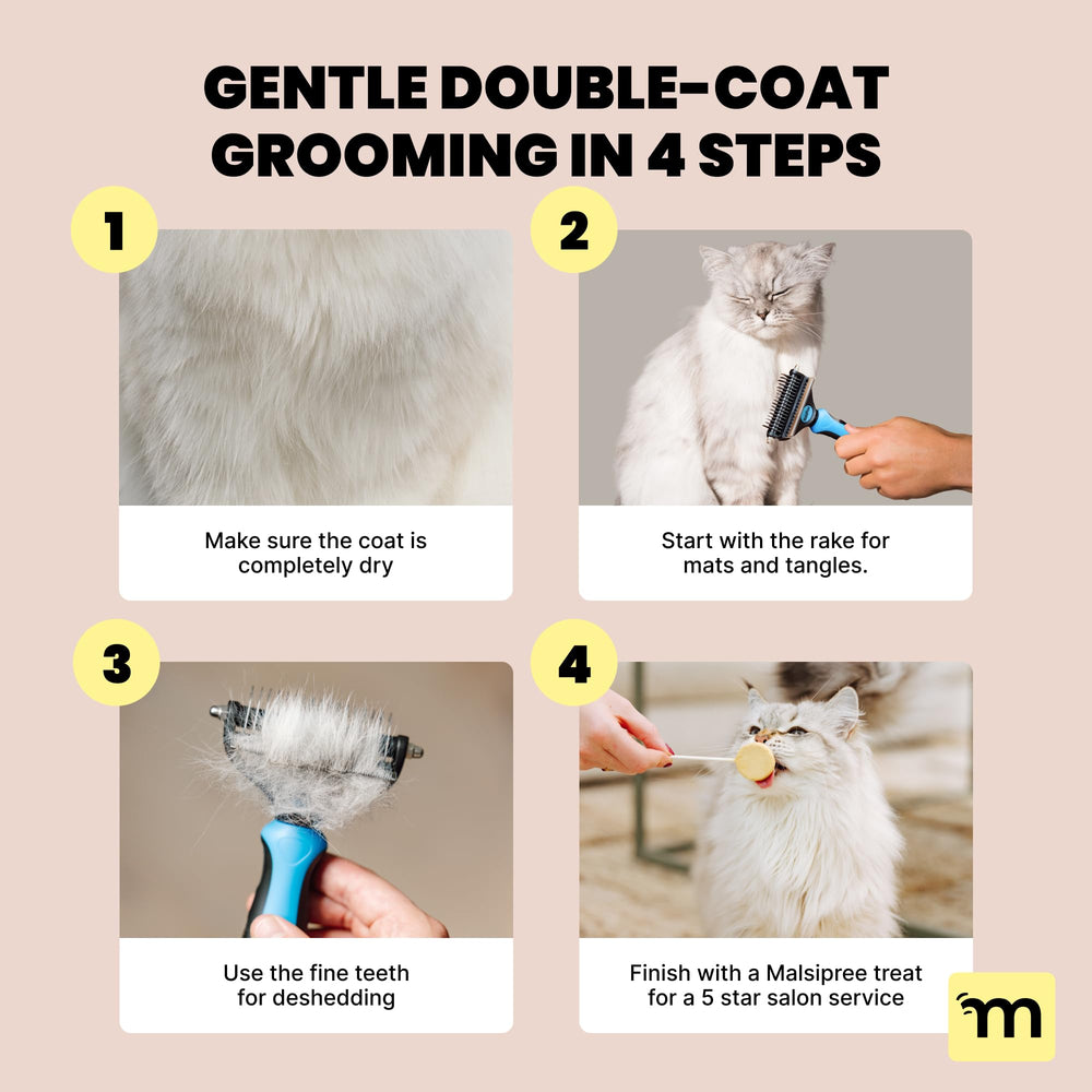 MalsiPree cat hair-removal tool in use—reduces shedding and promotes coat health
