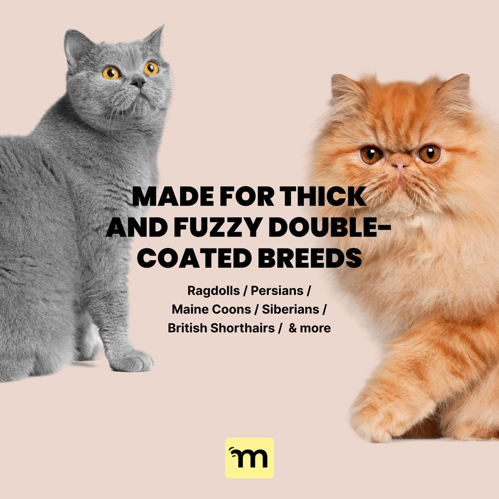 MalsiPree dense-coat demonstration—efficient deshedding for double coats