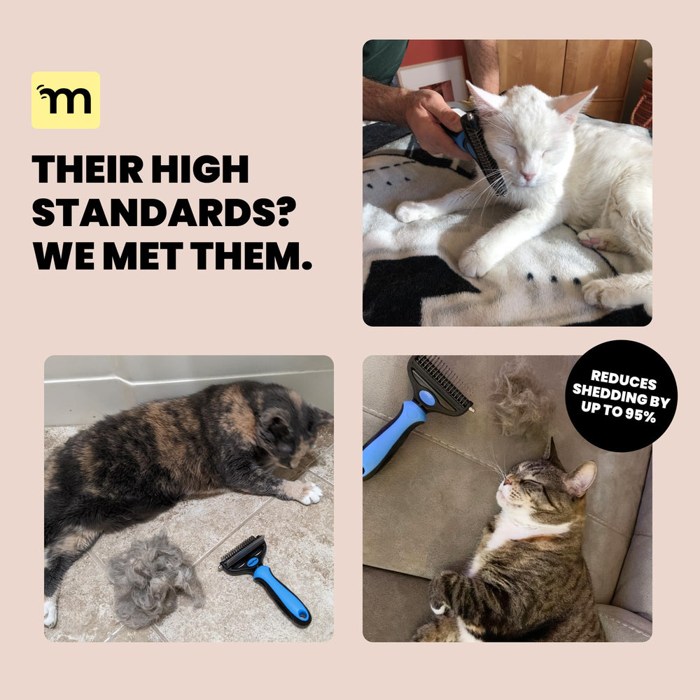 MalsiPree durable plastic construction—long-lasting cat grooming tool