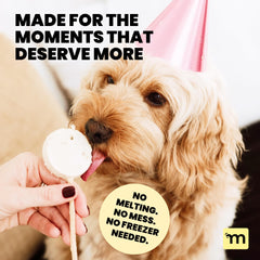 MalsiPree Lollipop dog birthday celebration scene, festive and celebratory.