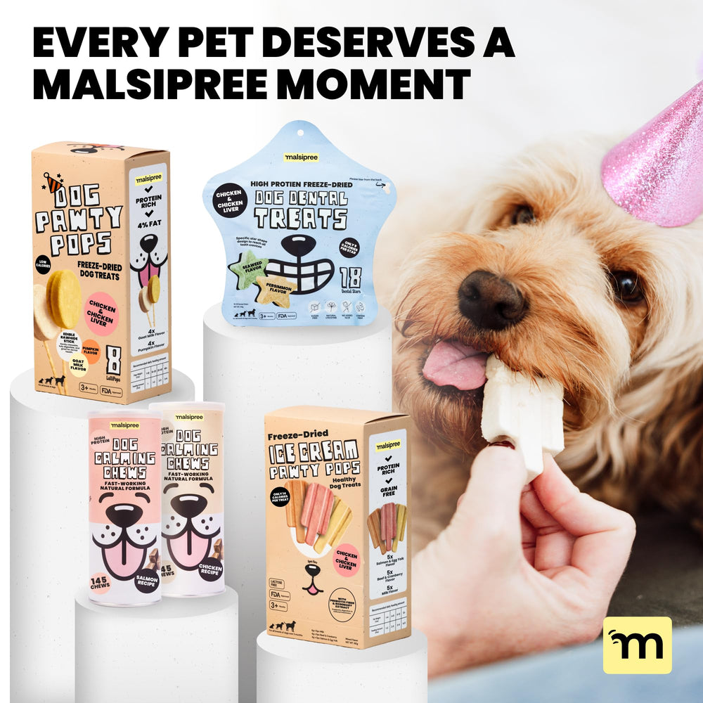 MalsiPree Lollipop party favors, dog-friendly dessert for gatherings.