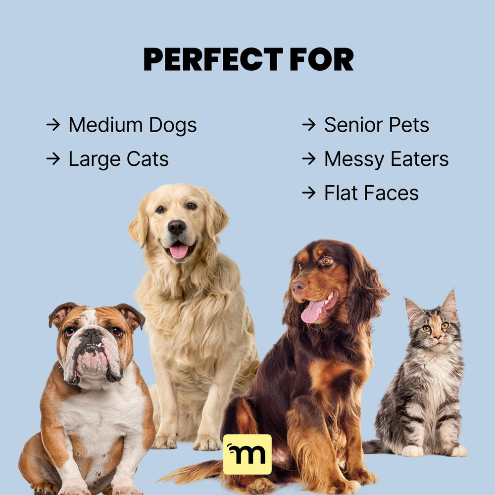 MalsiPree mess-catching edge keeps floors clean during meals.
