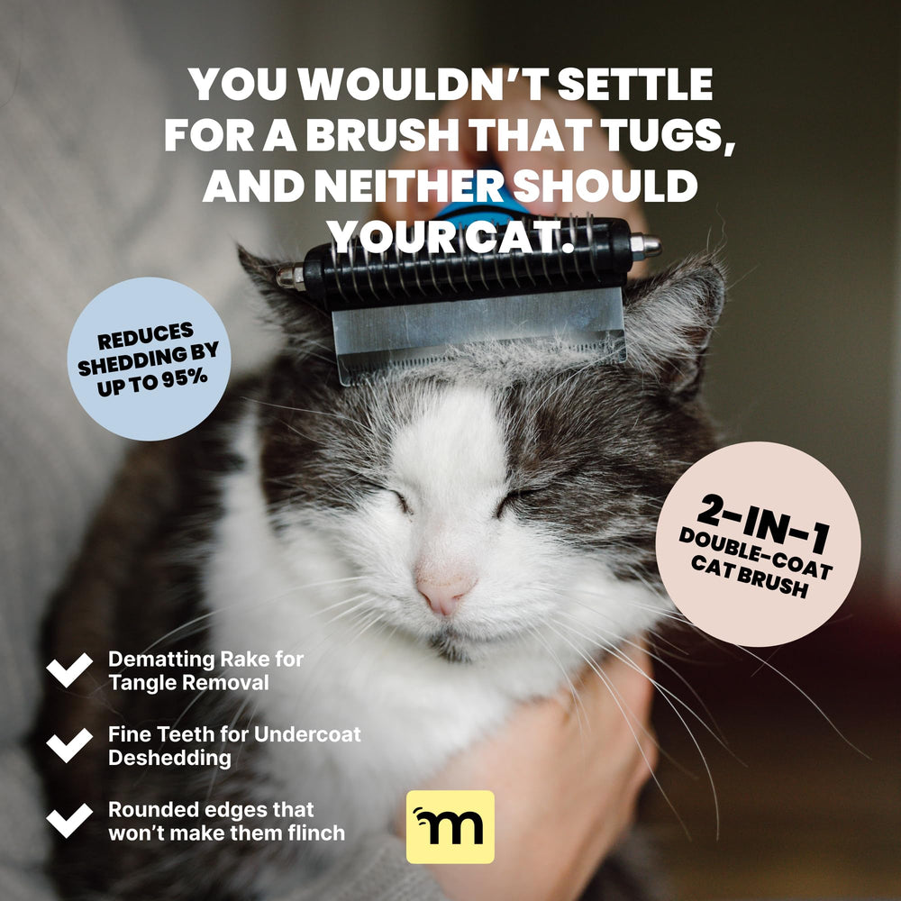 MalsiPree undercoat rake in action—loosens tangles for long-haired cats