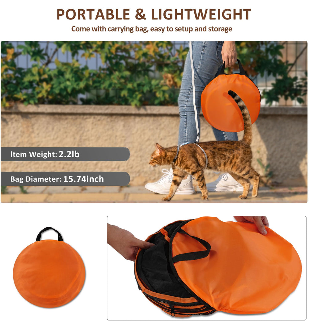 MAMI&BABI spacious activity area supports multiple small pets