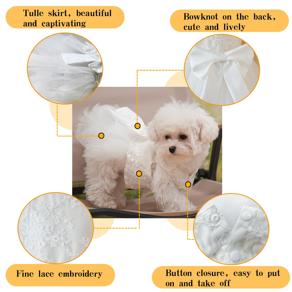 Mamore dog dress showing bowknot back design for playful charm.