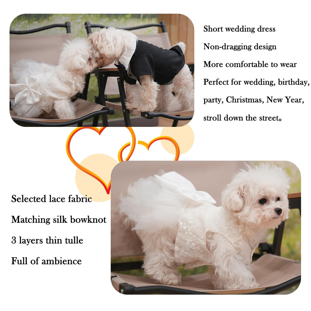 Mamore dog dress with easy button closure for quick on-and-off wear.