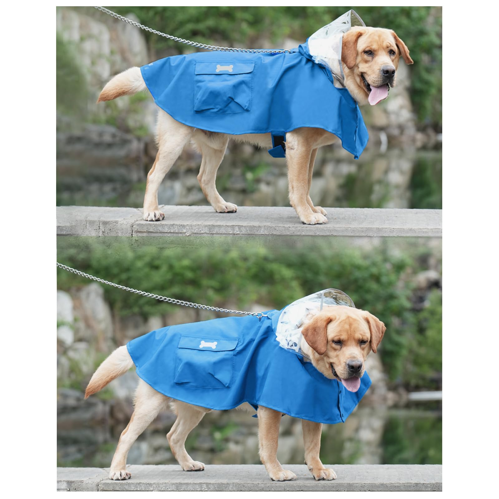 MAMORE dog raincoat on dog during walk shows comfortable use in rain