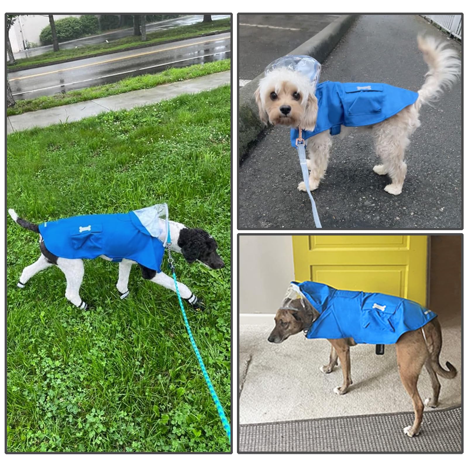 MAMORE dog raincoat translucent hood provides head protection