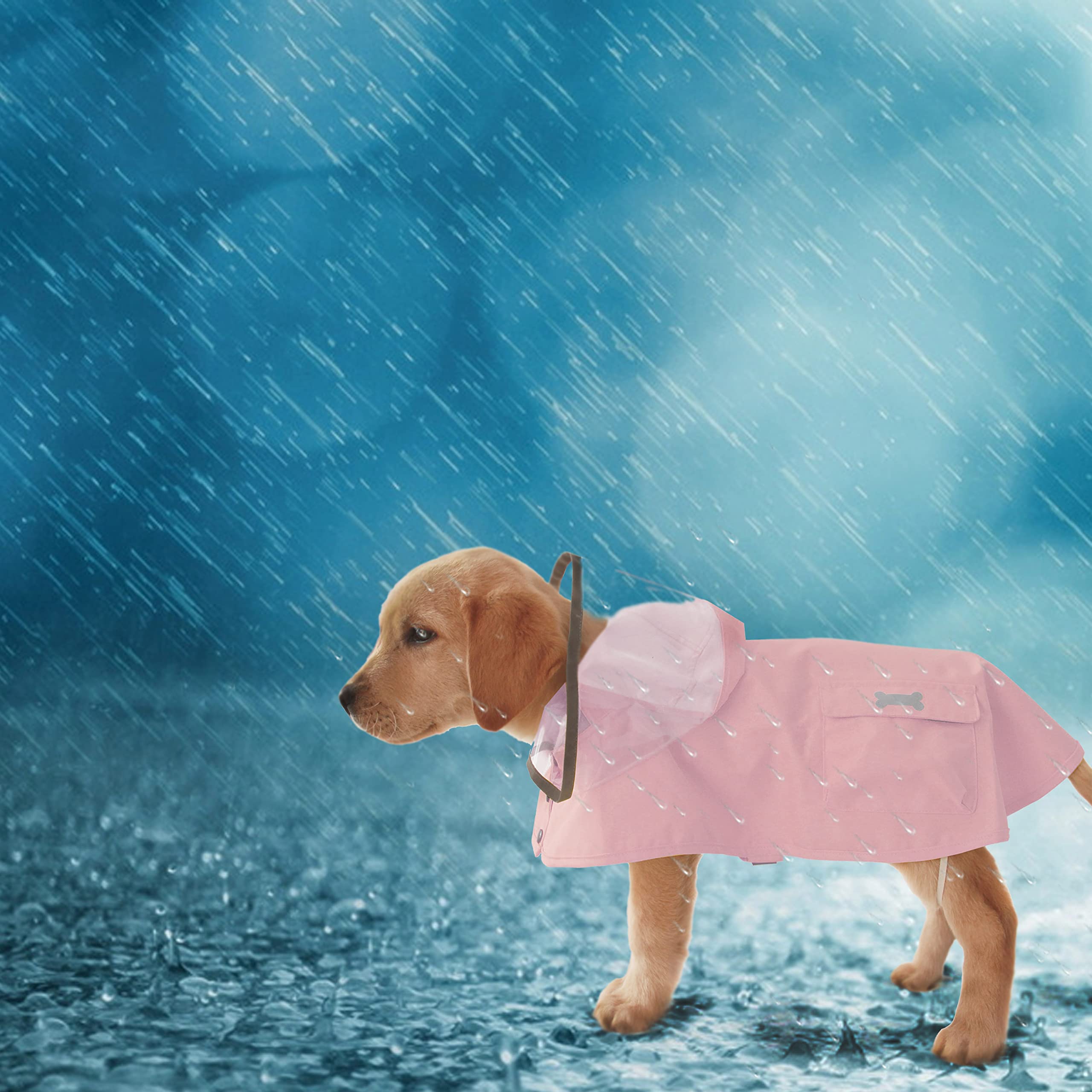 Mamore dog raincoat water-resistant outer layer, breathable membrane for comfort