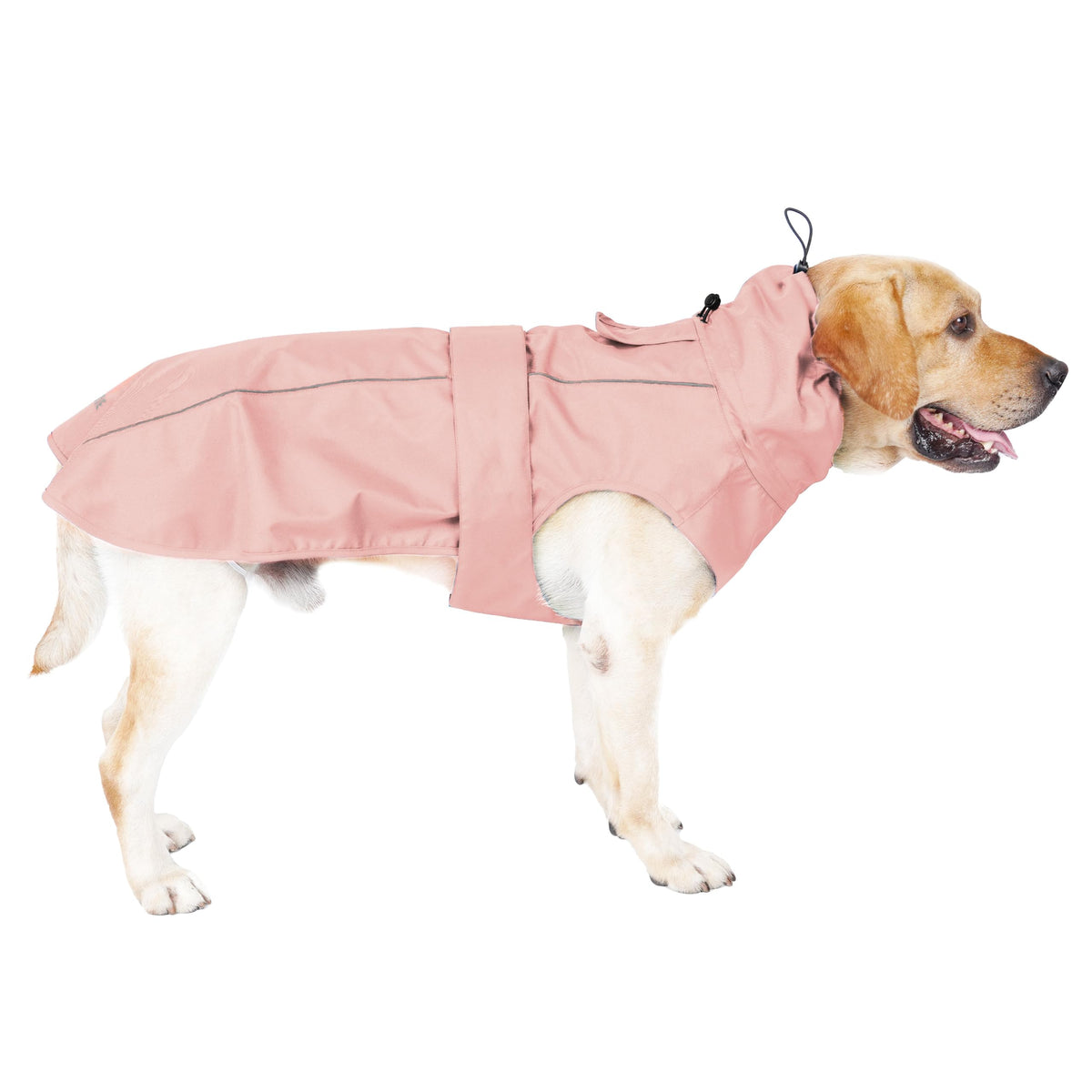 Mamore dog raincoat with waterproof outer fabric keeps your pup dry during light showers.