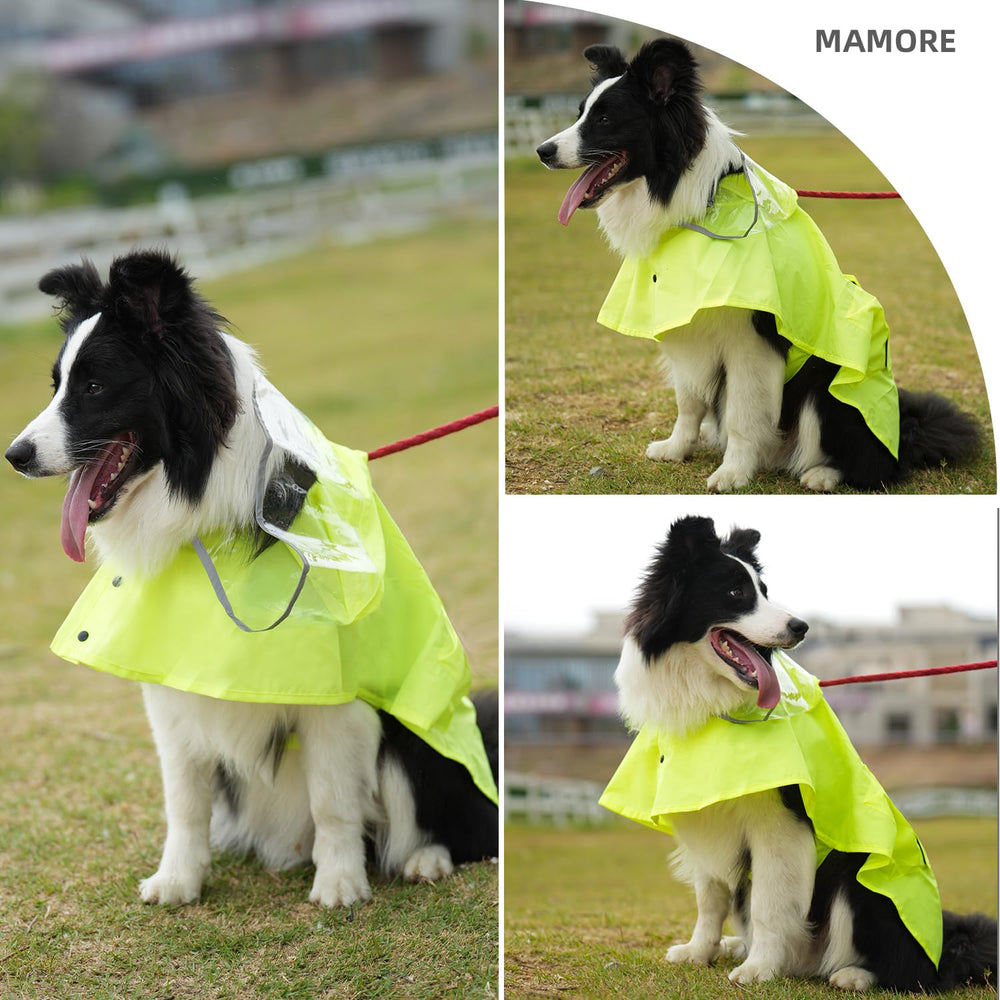 Mamore dog raincoat with waterproof membrane for breathable comfort on wet days