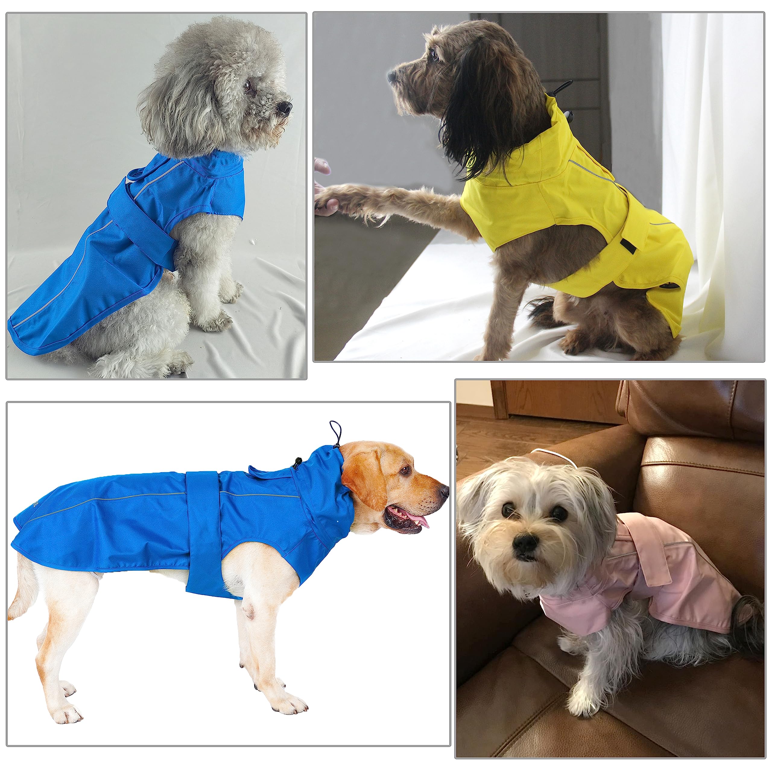 MAMORE dog wearing raincoat during rain demonstrates practical wearability.