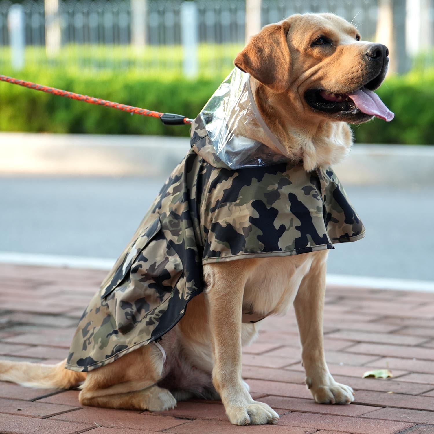 MAMORE waterproof dog raincoat camo leash-hole enables easy leash attachment.