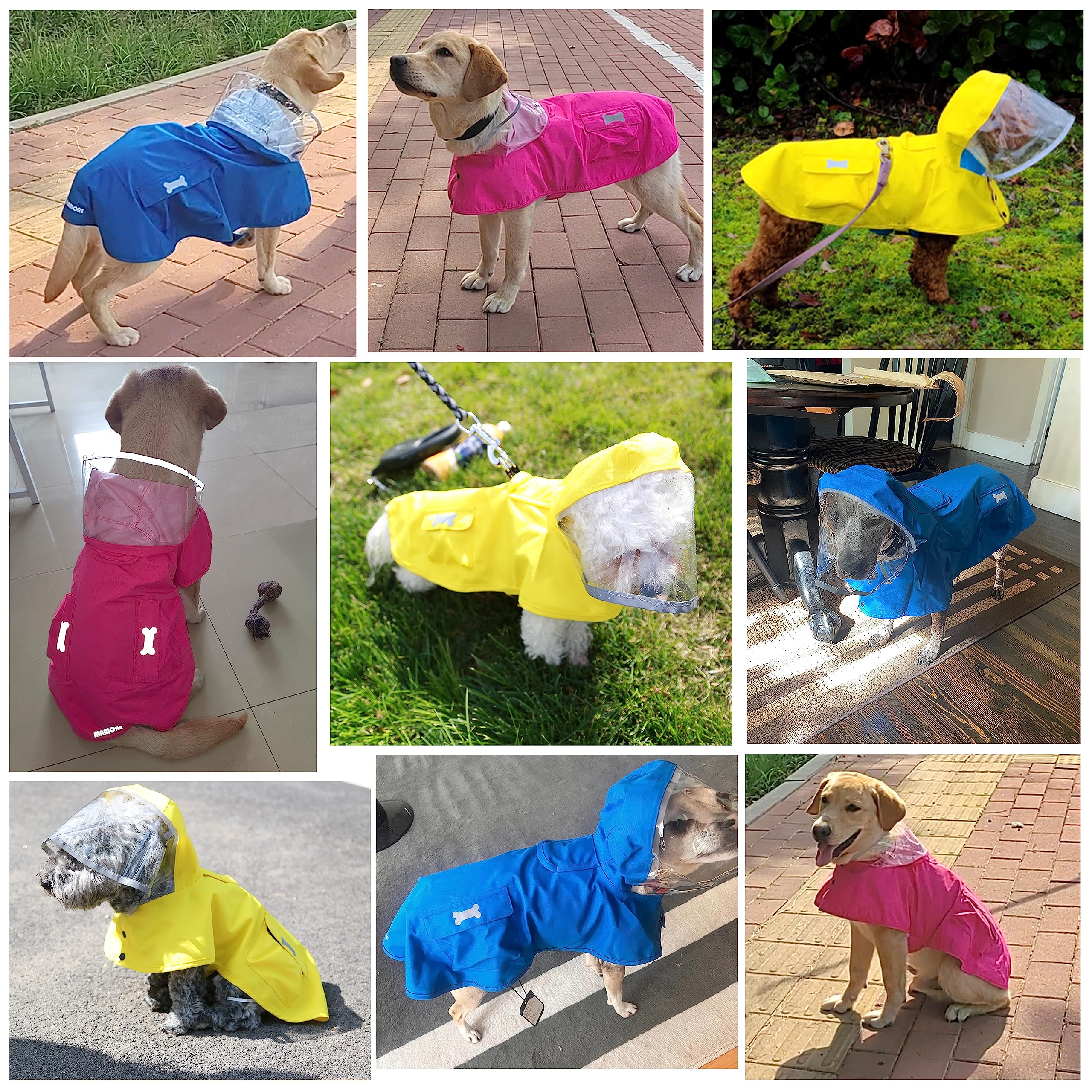 MAMORE yellow raincoat on dog image showing bright visibility and rain protection
