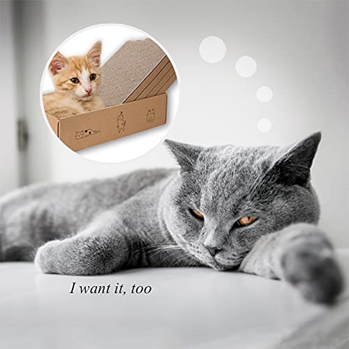 Mankaide easy-value packaging highlights four pads in one set.