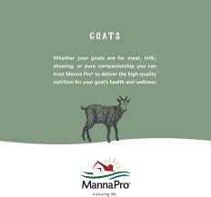 Manna Pro Cut Heal Hoof Heal hoof-condition close-up highlighting improved condition.