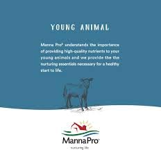 Manna Pro Cut Heal Hoof Heal application on dry and wet hooves demonstrates moisture balance.