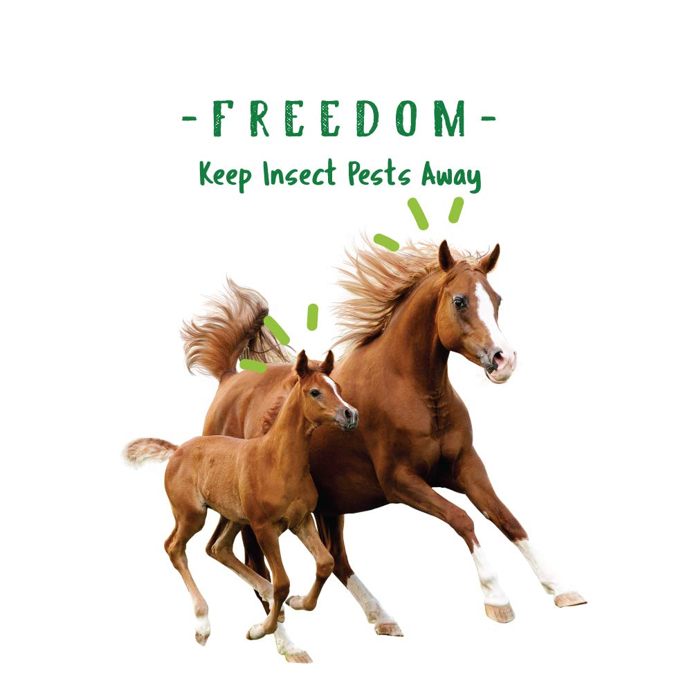 Manna Pro Nature's Force Bug Clear horse-fed image shows a glossy coat and healthy appearance