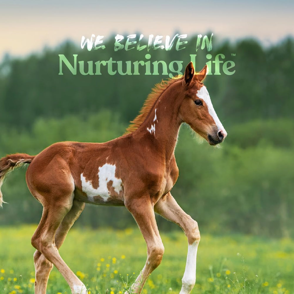 Manna Pro Nurse All Milk Replacer Opti-Gut label emphasizes probiotic gut support