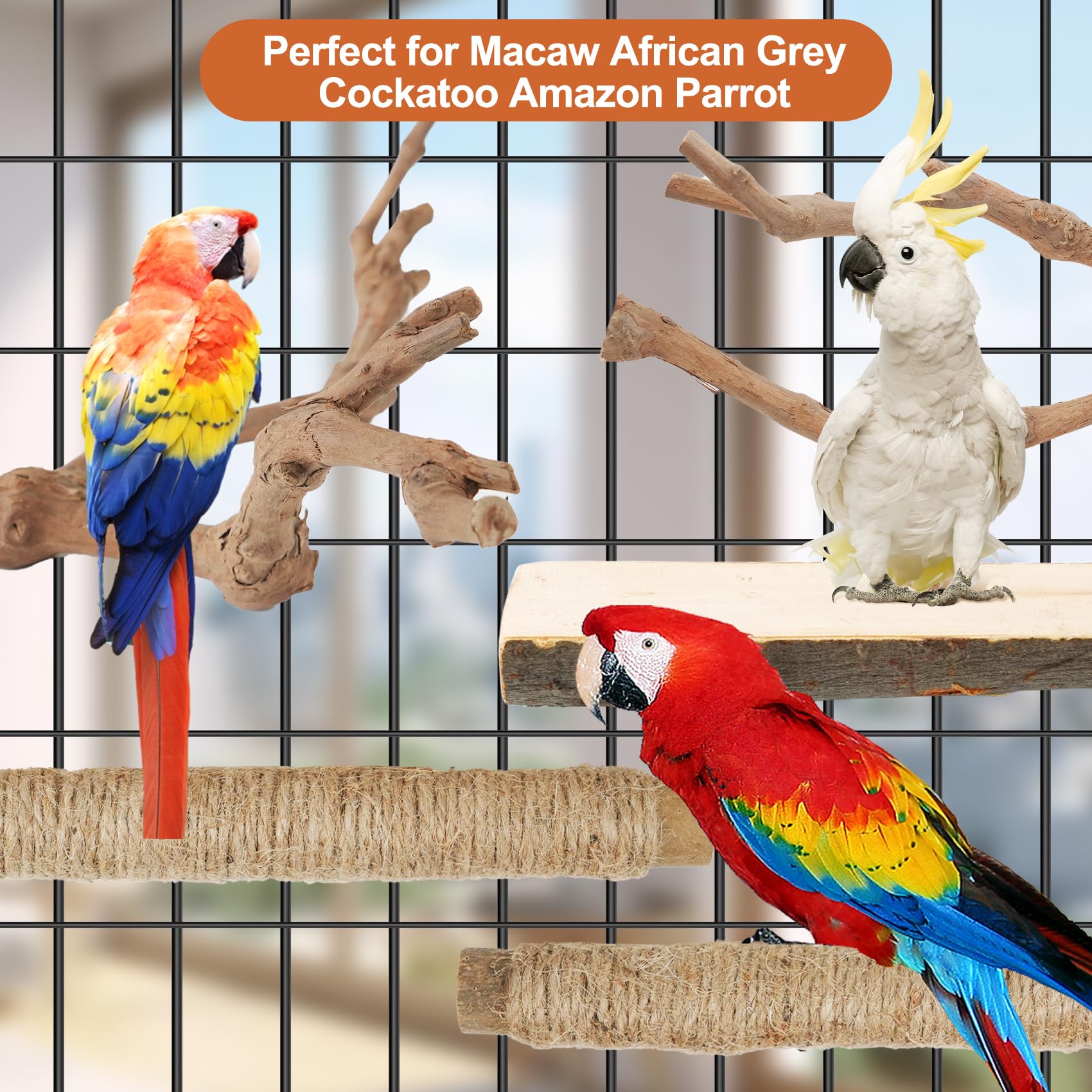 Manoai small to medium parrot perch set fits cockatiels and conures with room to climb.
