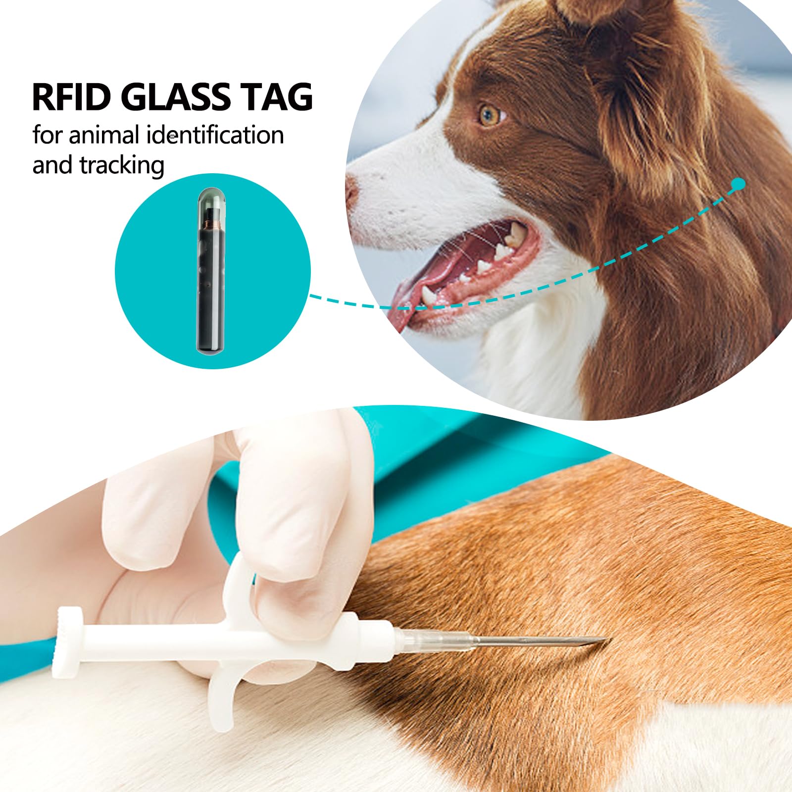 Manruta 100-pack provides permanent ID for multiple pets