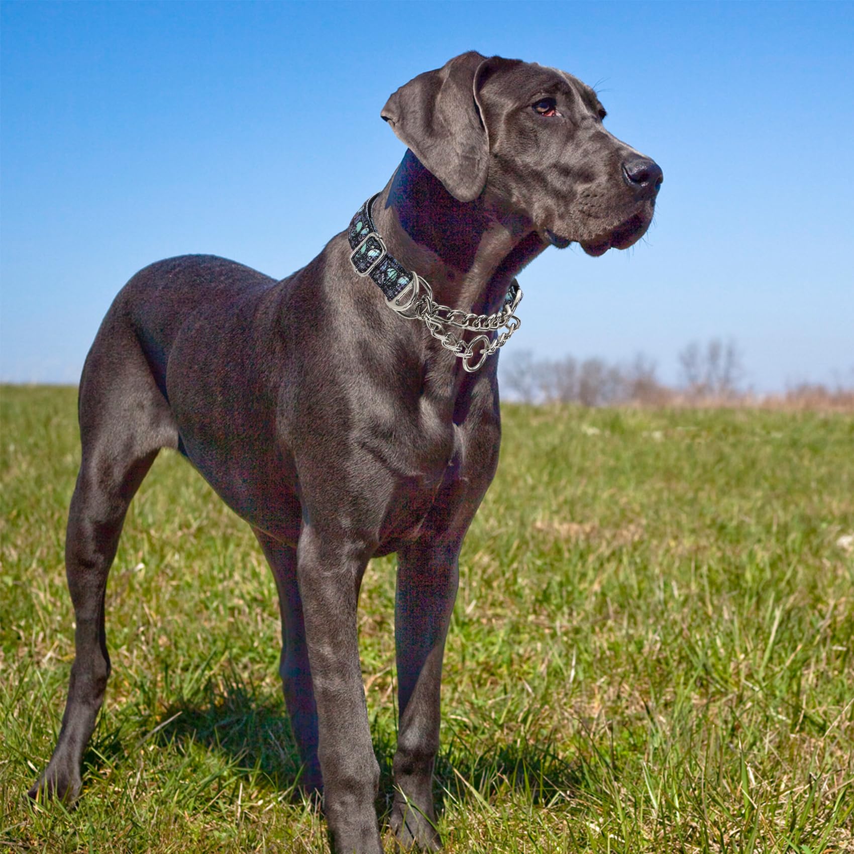 MAOWUWUJOZ Martingale collar with two D-rings enables easy training-to-standard transitions.