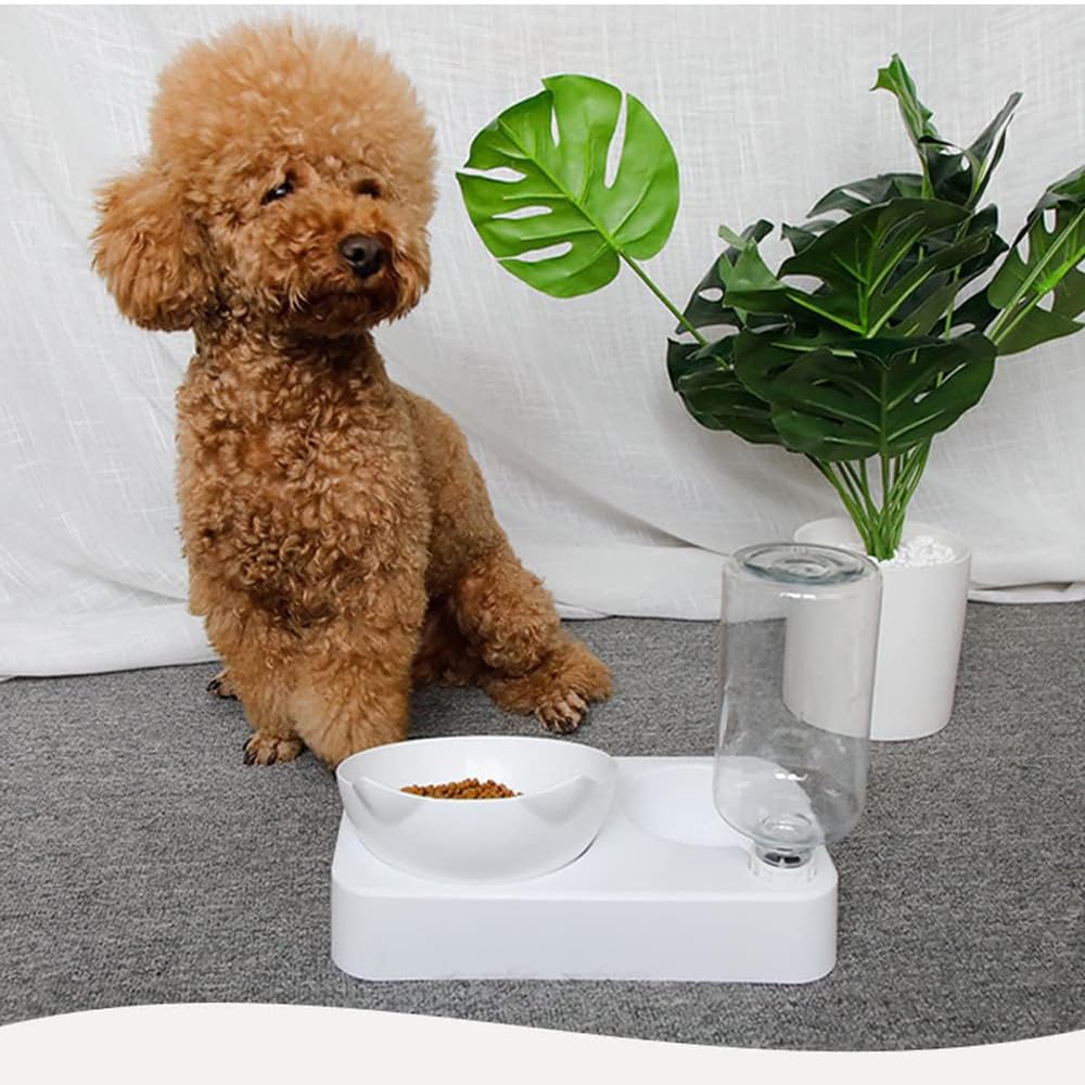 Marchul cat bowls set easy-clean-assembly shows modular parts for quick disassembly.