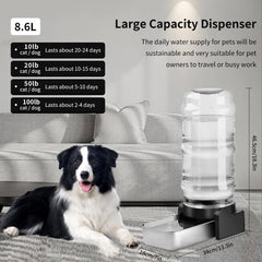 Marchul dog water dispenser stainless steel bowl demonstrates durable, rust-free construction for long-lasting use.