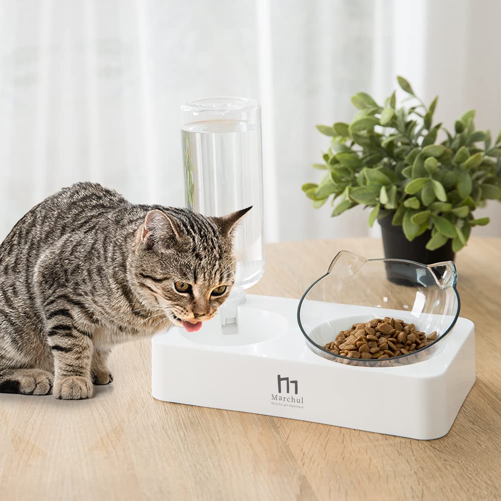 Marchul tilted cat bowl detachable design simplifies cleaning after meals.