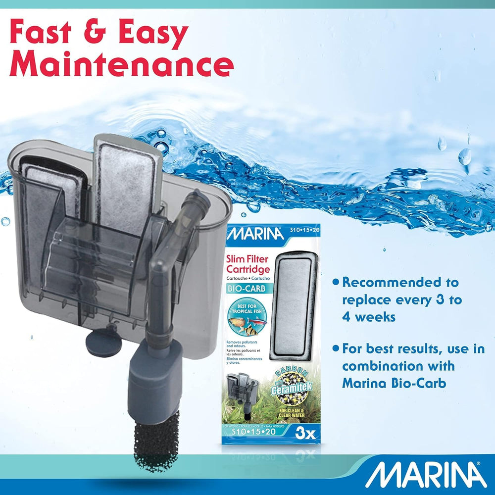 Marina replacement schedule two weeks encourages regular media changes.