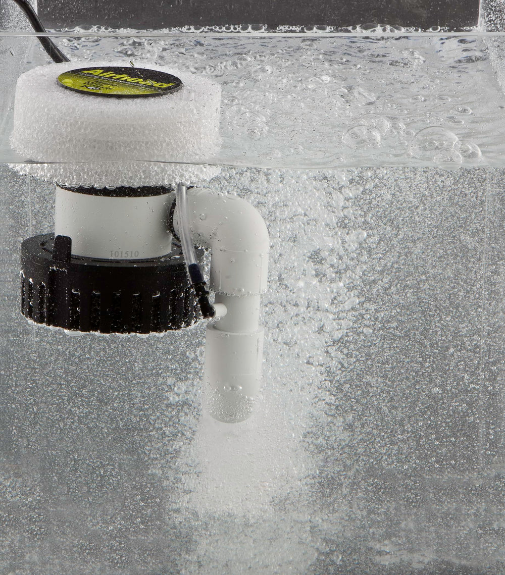 Marine Metal A-3 aquarium and bait-use setup supports freshwater and saltwater environments.