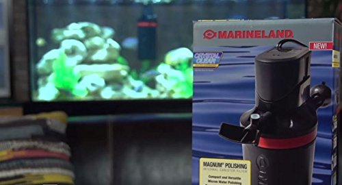 Marineland Magnum submerged-motor design enables quiet, reliable operation and effortless startup.