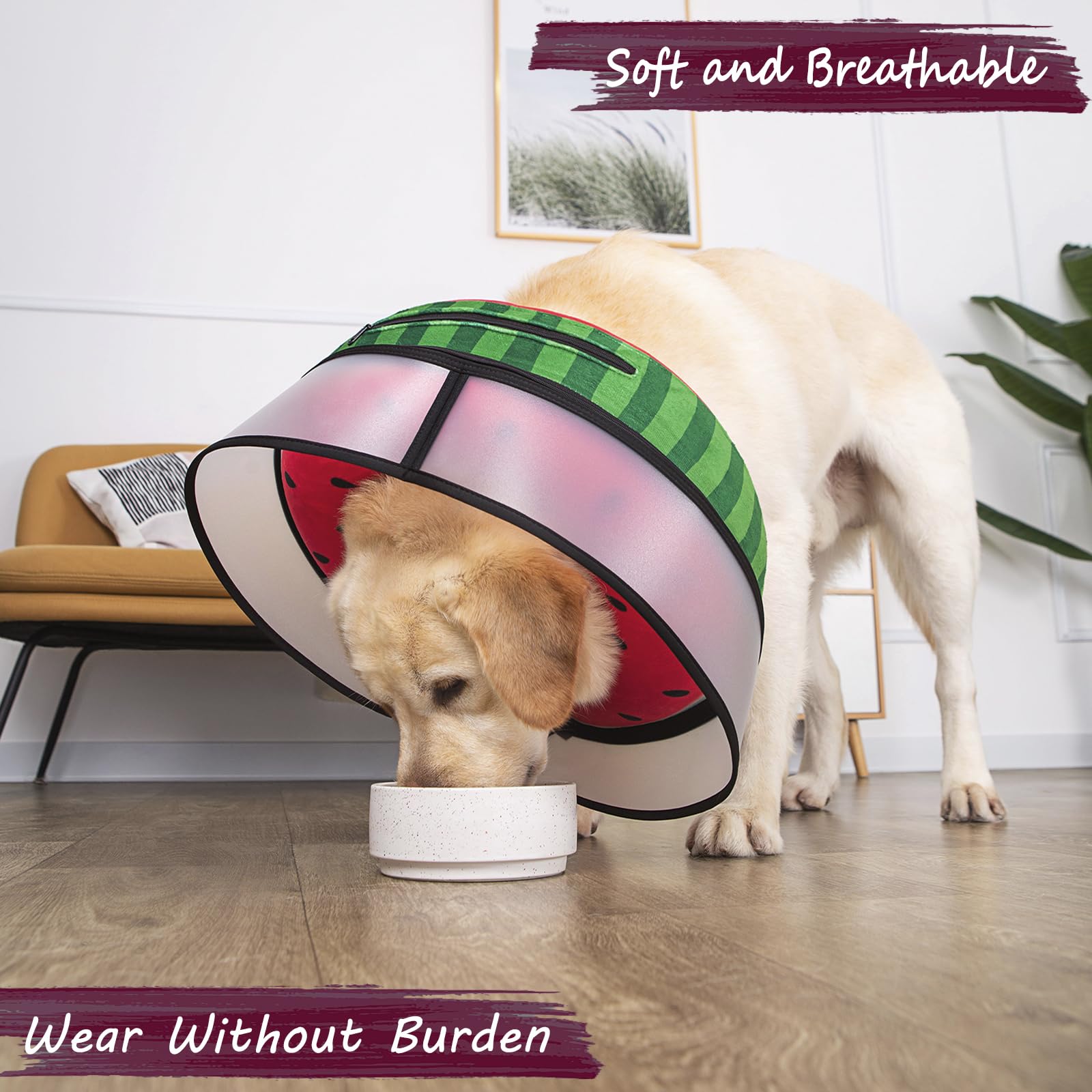 Mariyago adjustable buckle ensures snug, secure fit around a dog's neck