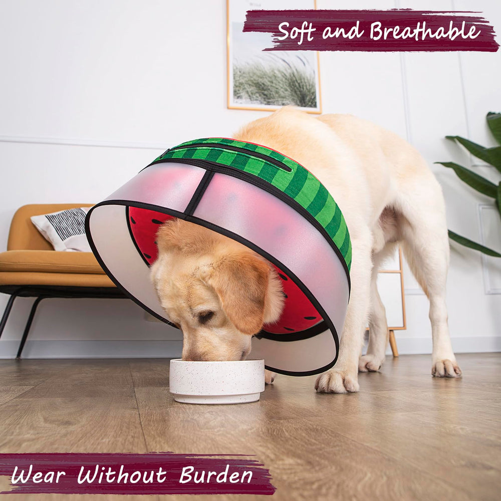 Mariyago adjustable buckle ensures snug, secure fit around a dog's neck