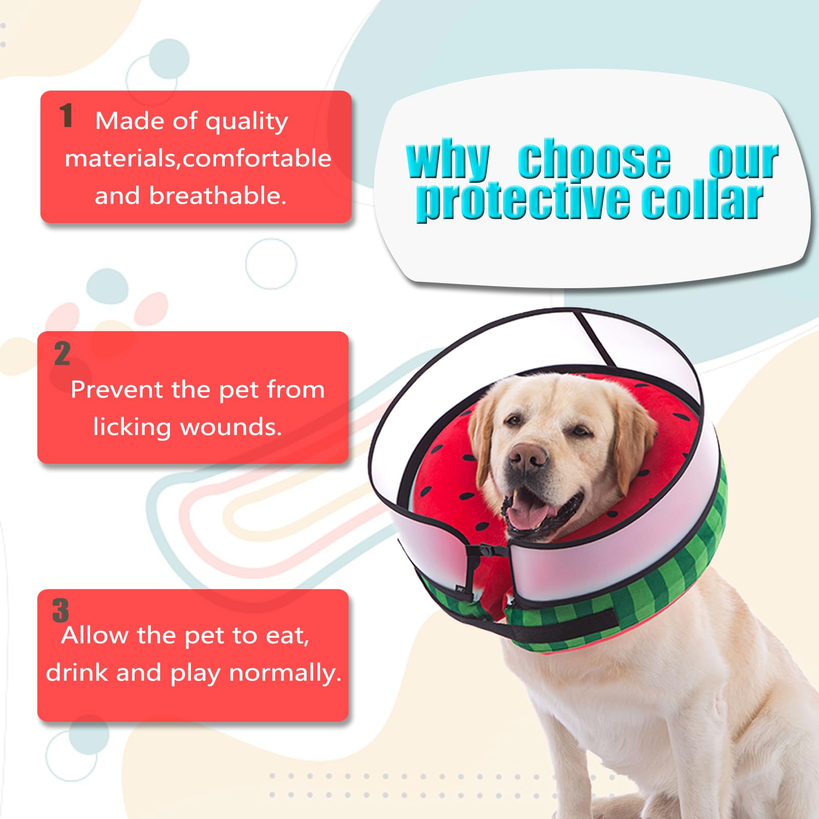 Mariyago care tips help owners fit and use collar confidently