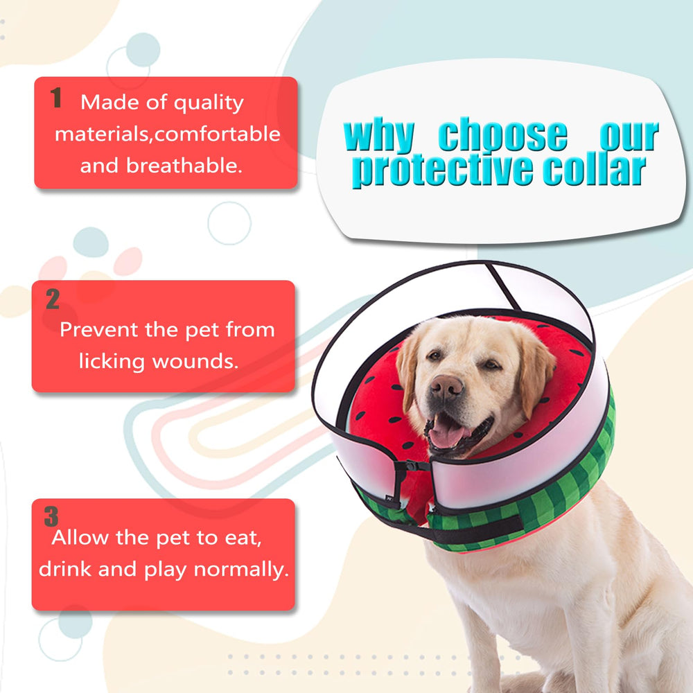 Mariyago care tips help owners fit and use collar confidently