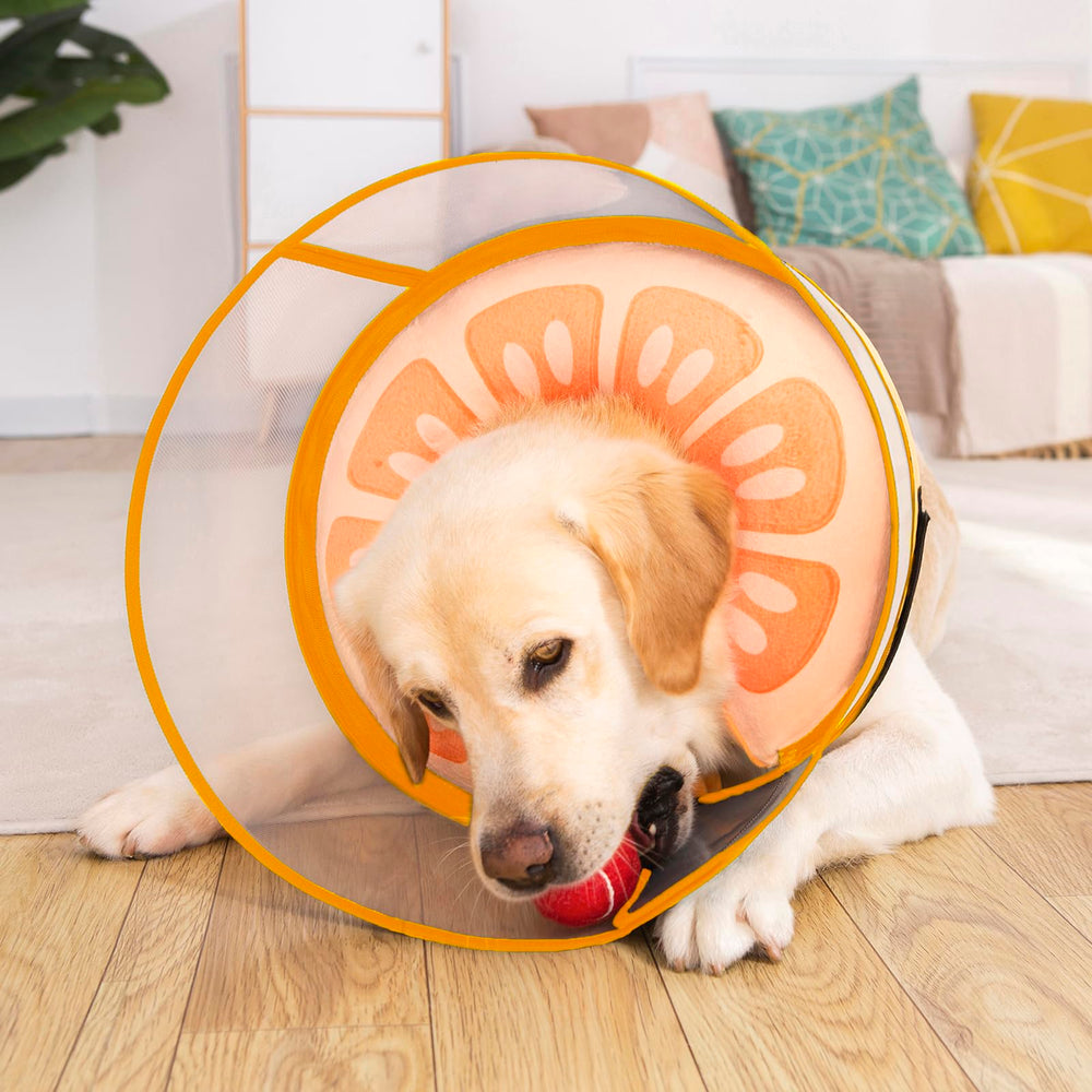Mariyago size guide for selecting the right inflatable collar size