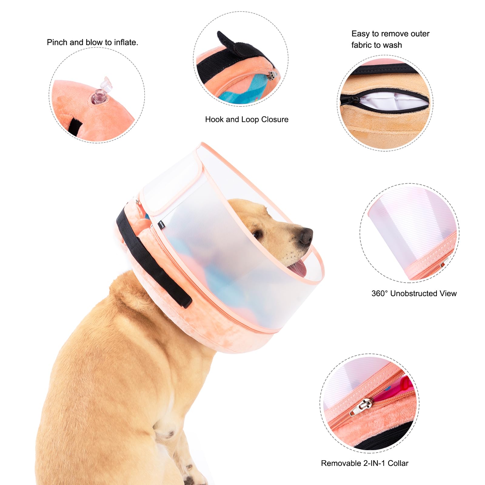 Mariyago inflatable-donut with removable protective cover demonstrates extended anti-licking safety.