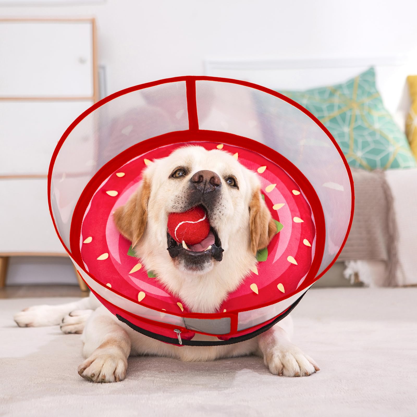 Mariyago inflatable dog cone large strawberry packaging highlights simple setup