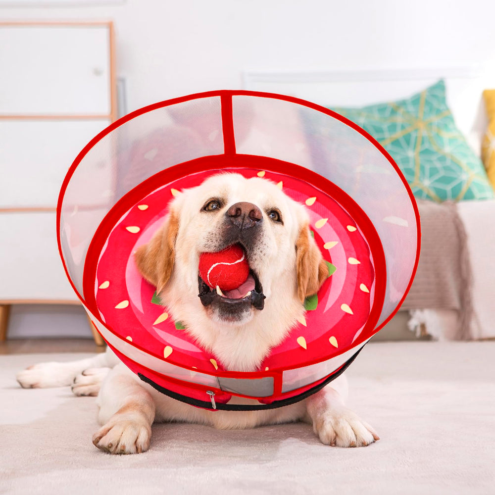 Mariyago inflatable dog cone large strawberry packaging highlights simple setup