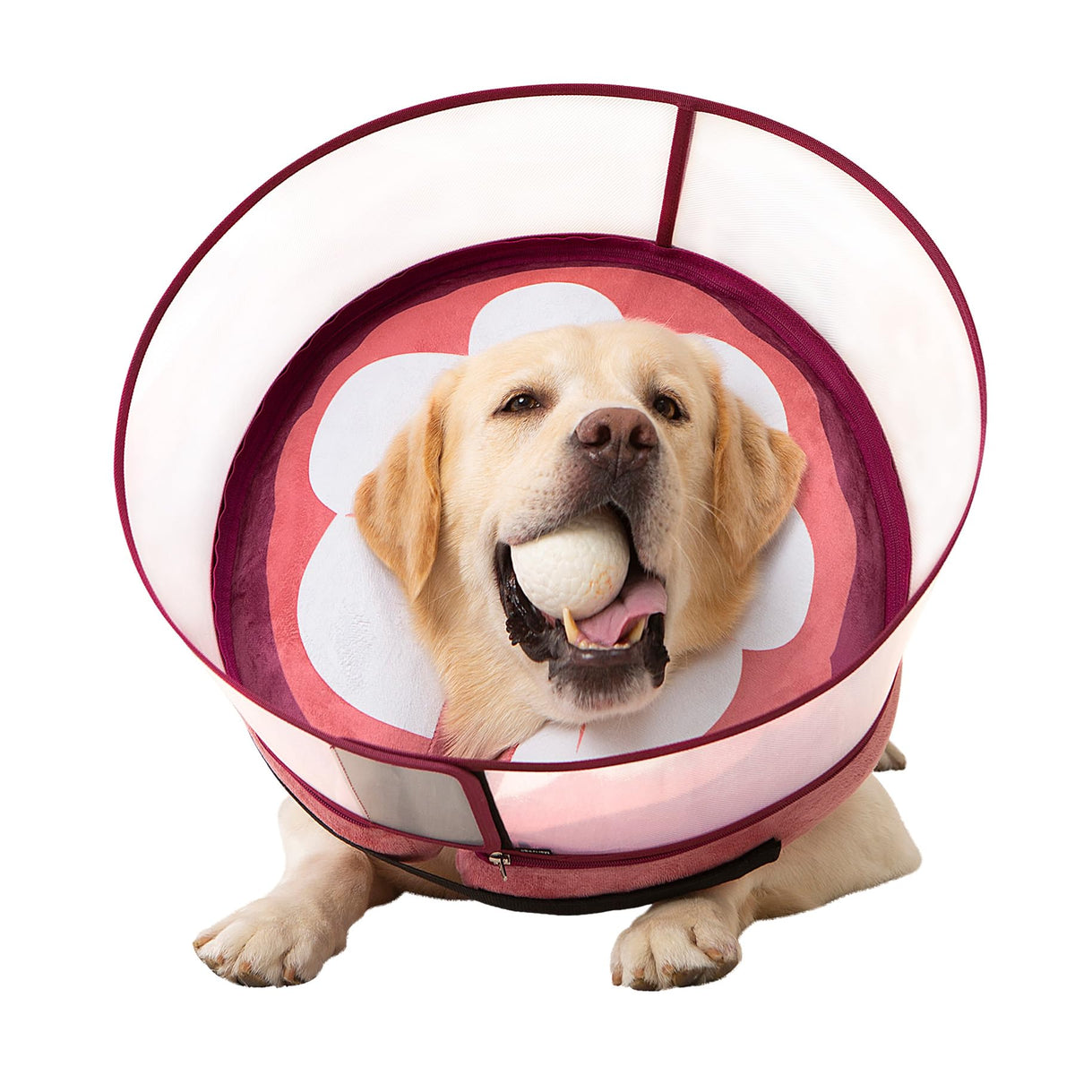 Mariyago inflatable dog cone outer cover anti-licking guard for recovery
